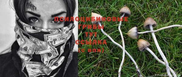 мдпв Володарск