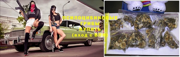 мдпв Володарск