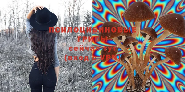 мдпв Володарск